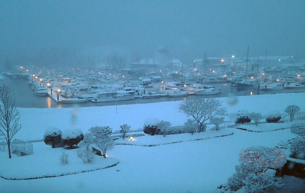 Steveston Harbour snow