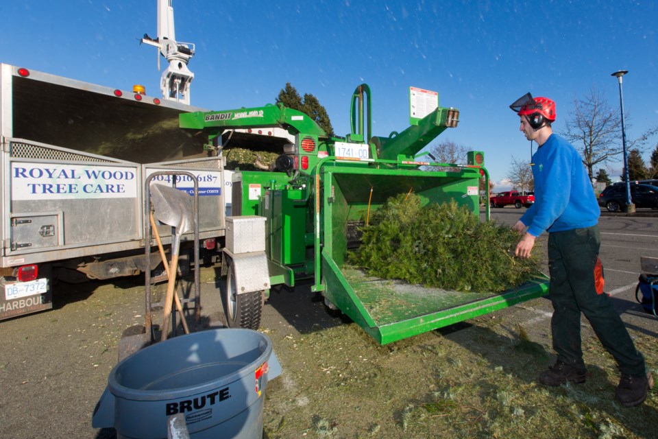 Local Lions clubs will be holding Christmas tree chipping events this weekend. Tree chipping will take place on Saturday, Jan. 10 and Sunday, Jan. 11 at the South Delta Recreation Centre in Tsawwassen (9 a.m. to 5 p.m. both days) and Memorial Park in Ladner (9 a.m. to 4 p.m. both days).