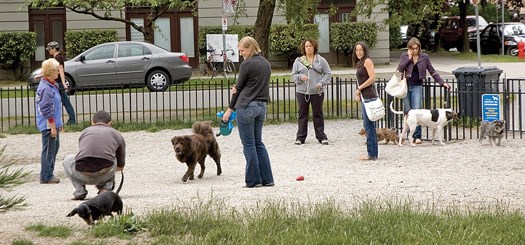 NEWS: Off-leash areas dog park board - Vancouver Is Awesome