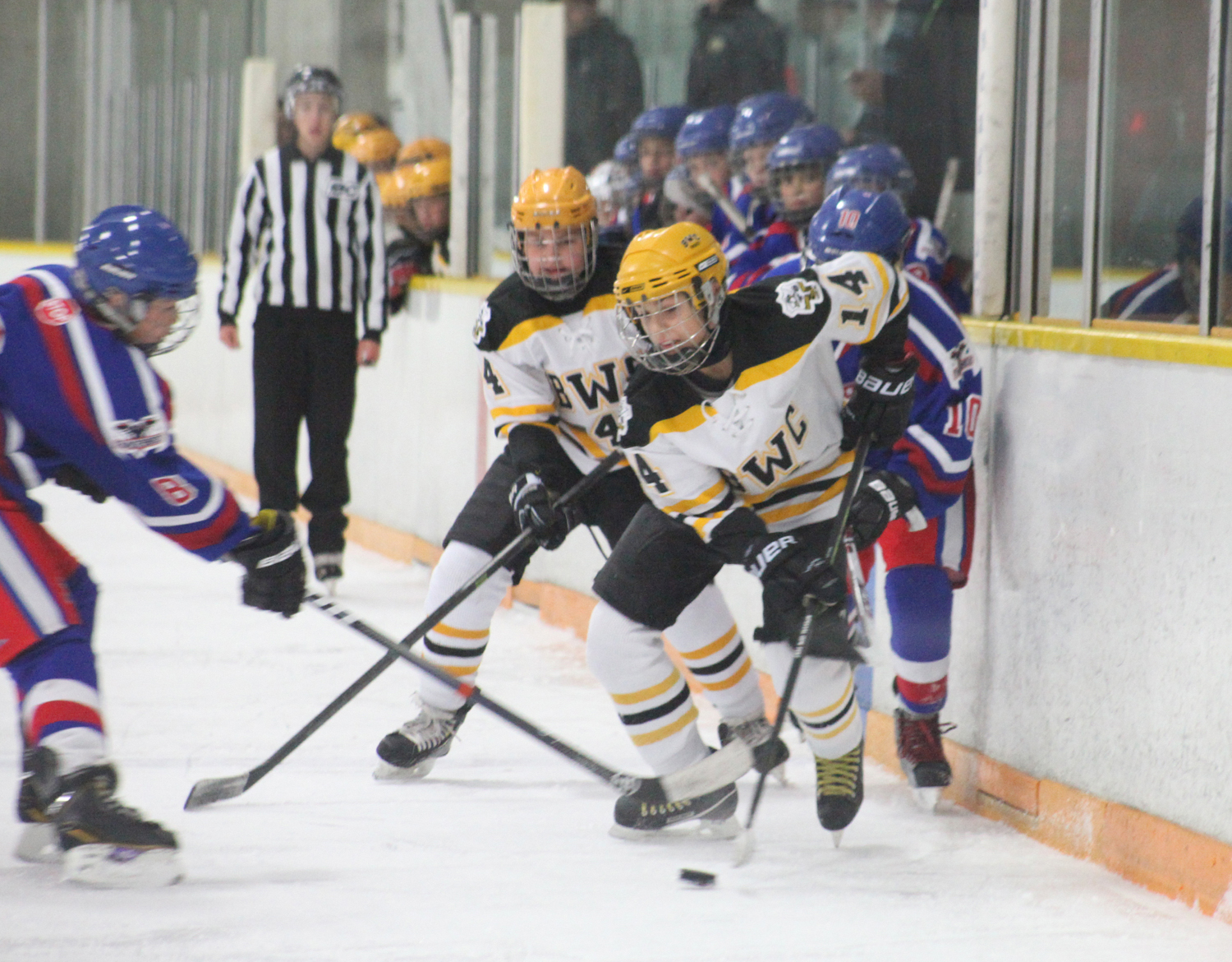 BWC peewees win Tier 1 provincial banner - updated - New West Record