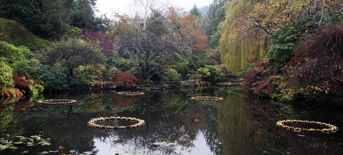 Butchart Gardens - A Locals Guide To Butchart Gardens