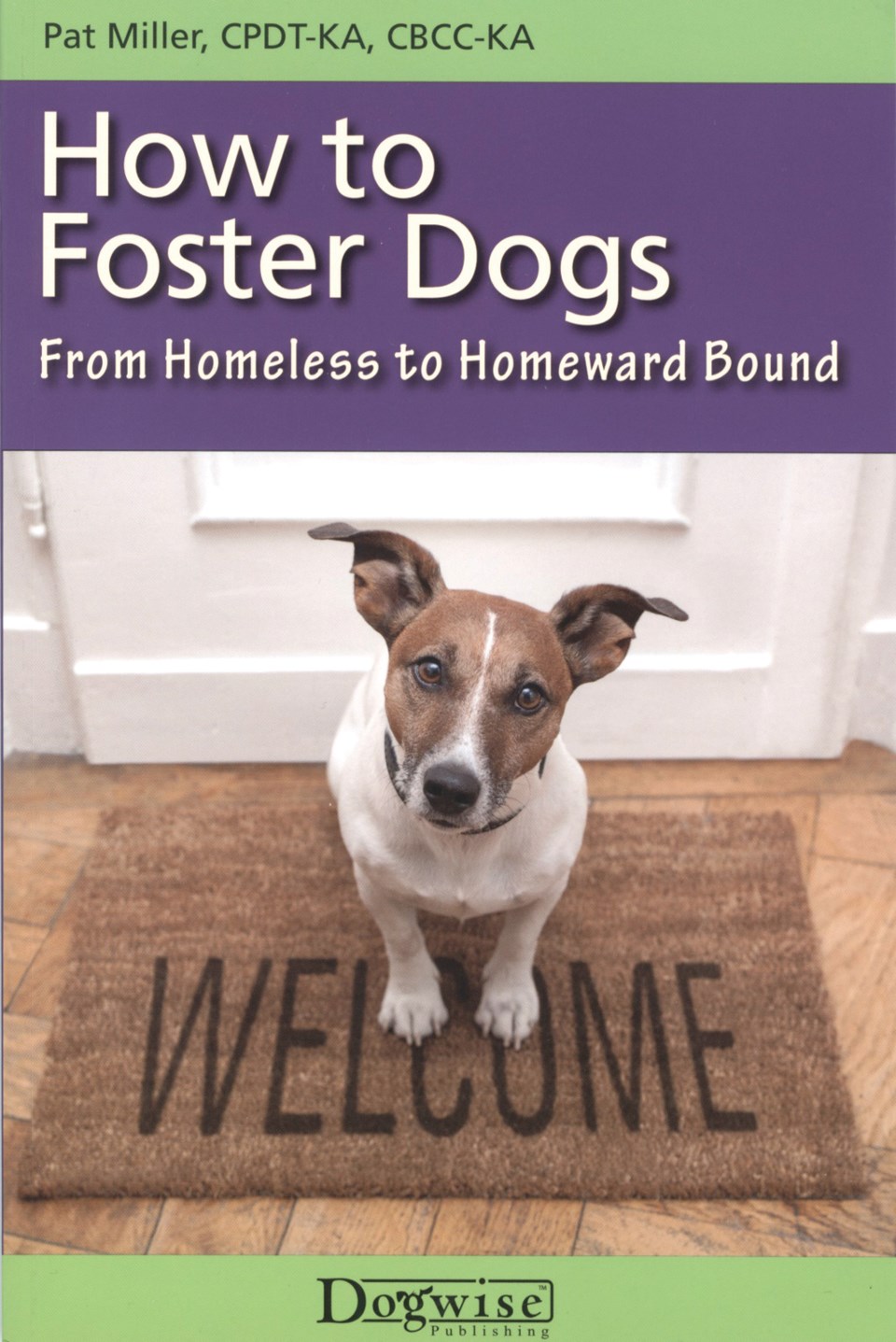 how to foster dogs