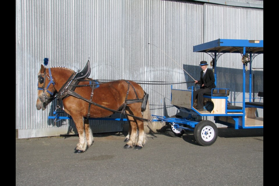 A liquidator is selling carriages, on behalf of the CRA, to recoup the money owed and Elrod is afraid her trolleys may be sold.