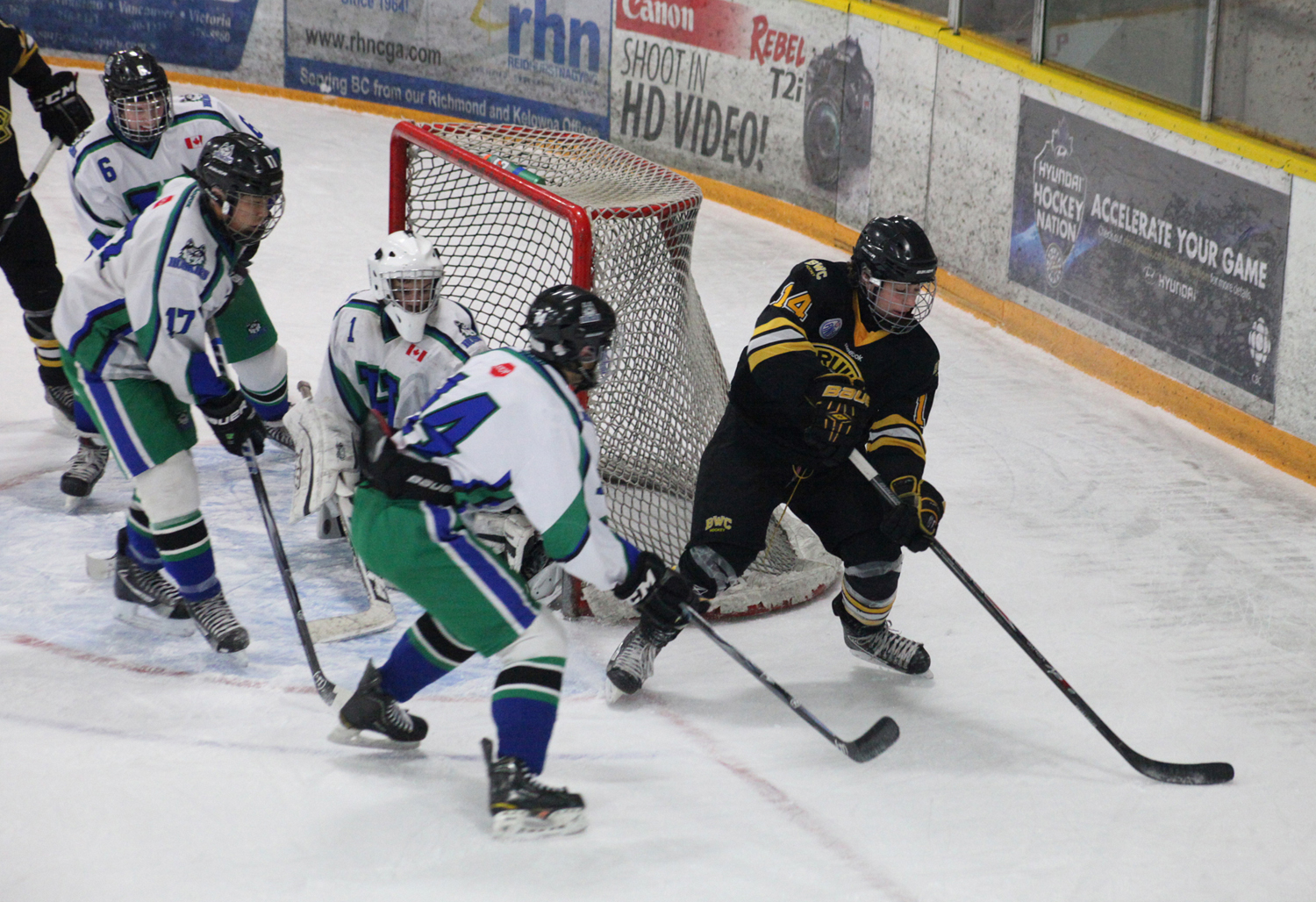 whl bantam draft