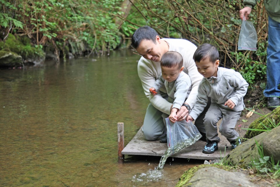 Mark Aleong with sons Felix and Blake, releasing chum fry into the waterway at Charles Rummel Park.