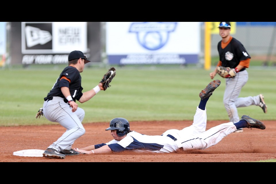 Season Ticket Packages Pricing – Cowlitz Black Bears