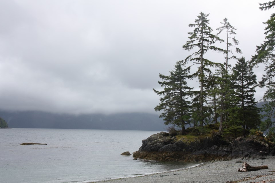 The village of Tanu in Gwaii Haanas is named after the eel grass in its nearby waters. photo Kevin Chong