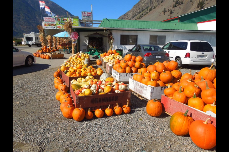 Our late September drive to Osoyoos from Vancouver coincided with fall harvest in the Similkameen Valley and Keremeos. Pumpkins, squash, garlic and apples were available at fruit stands along the way to and from Osoyoos. Photo: Sandra Thomas