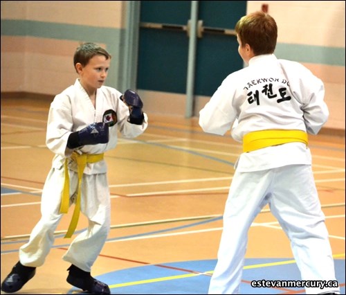 The Estevan Taekwon-Do Club held their testing Jan. 14 at Pleasantdale School. Testing included patterns and sparring. If you recognize a friend tag them in our photos at: www.facebook.com/EstevanMercury