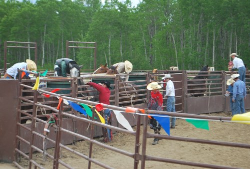 Cowboys get ready for Buckarama on Thursday evening at Bear Claw Casino and Hotel.