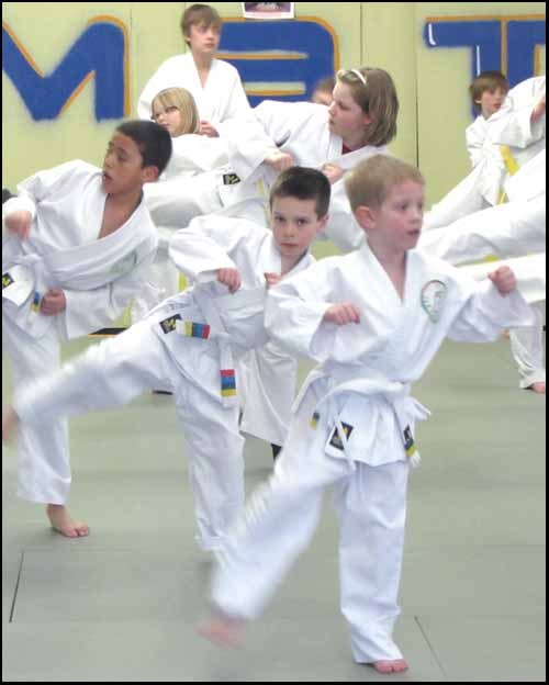 The Yeti TaeKwon-Do group at Yorkton Martial Arts Training Center held their 9th Annual Kick-A-Thon for the Heart and Stroke Foundation on Thursday, March 31st. Twenty-four participants raised over $2357 smashing the previous record of $1402 set in 2004. As extra bonus, Chief Instructor Mr. Forster now has a mohawk and Yeti students will enjoy a pizza party for surpassing fundraising goals. Mr. Forster would like to thank all the efforts of his students and their families. .