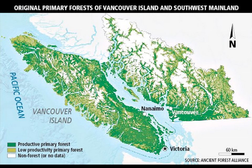 Low Productivity Old-Growth - Ancient Forest Alliance