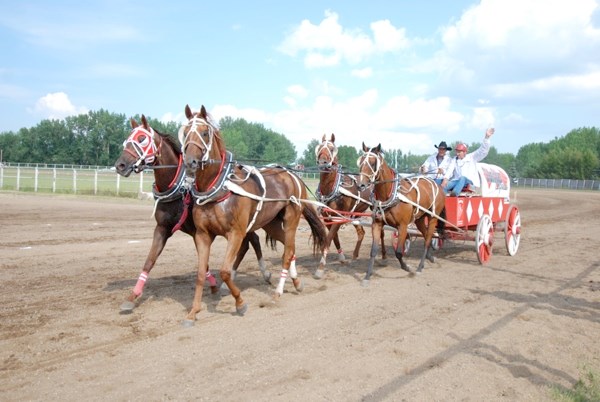 Brian Laboucane waves to his fans after winning the 10th heat at the Chuckwagon Races Sunday.