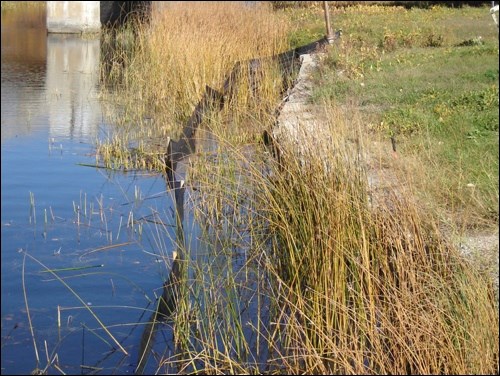 The old retaining wall.