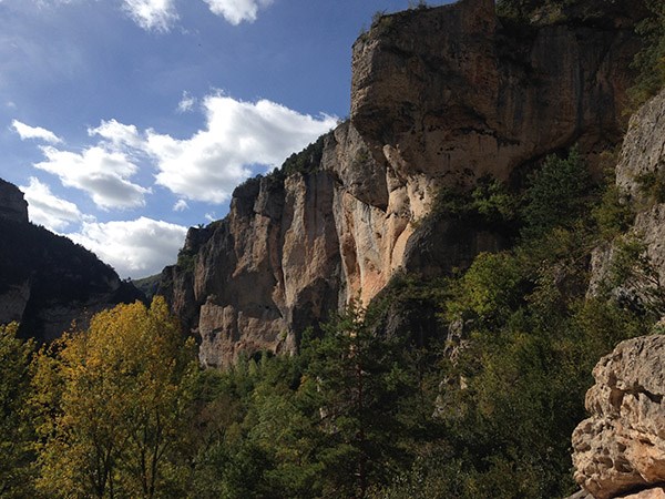 France climbing