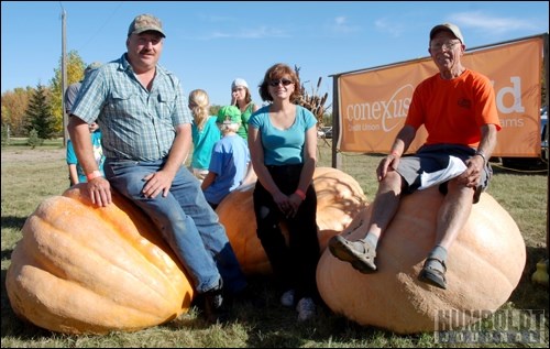 The heaviest pumpkins in the province were proclaimed at a weigh-off for the Provincial Pumpkin Society at the Pilger Pumpkin Festival. The top three were (from left): Glen Caffet of Spiritwood and his 531.5lb pumpkin, Nancy Hards of Nokomis and her 650 lb pumpkin and Felix Fischer of Pilger sitting atop his 554 lb pumpkin.