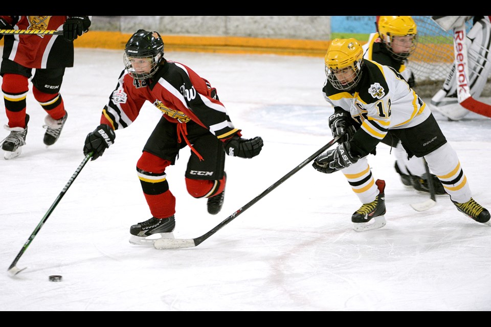 Burnaby vs New Westminster Pee Wee hockey at Burnaby Winter Club.