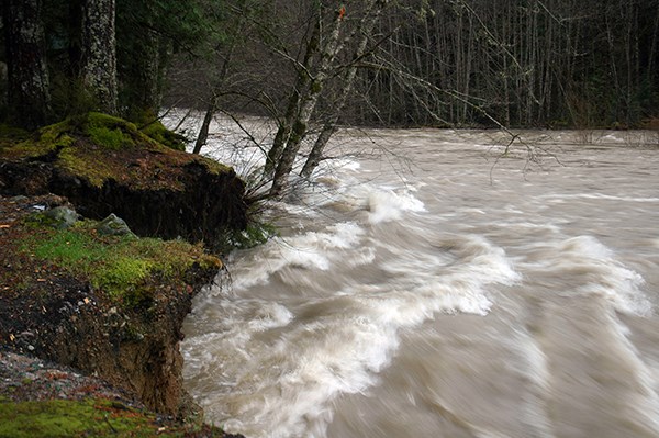 Photos and video: Squamish flooding due to heavy rains - Squamish Chief