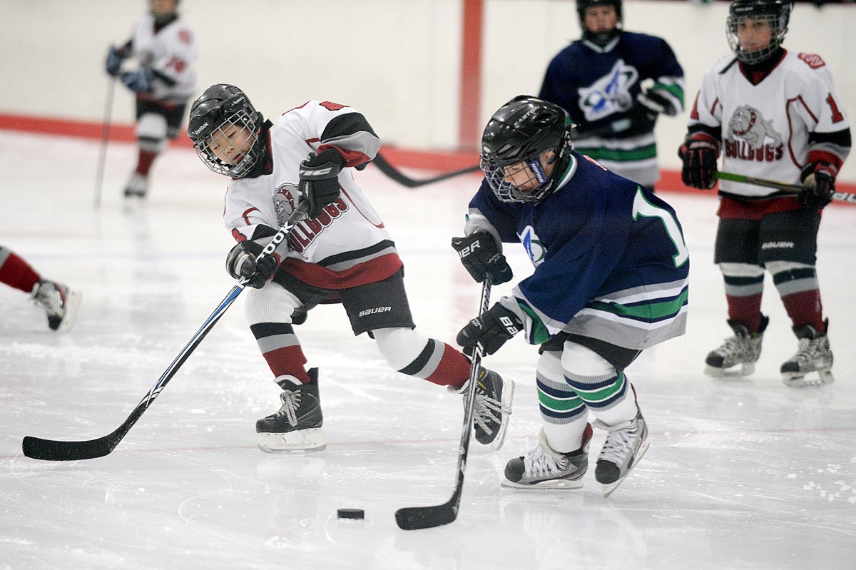 BMHA hosted Arbutus Club in atom house hockey: Photo Gallery - Burnaby Now