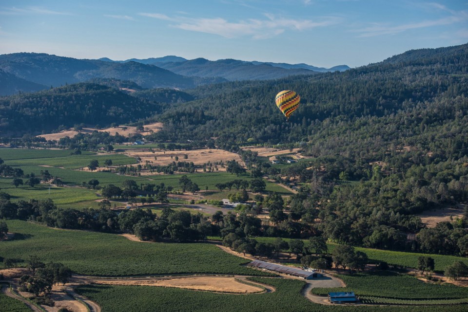 d1-0321-napa5.jpg