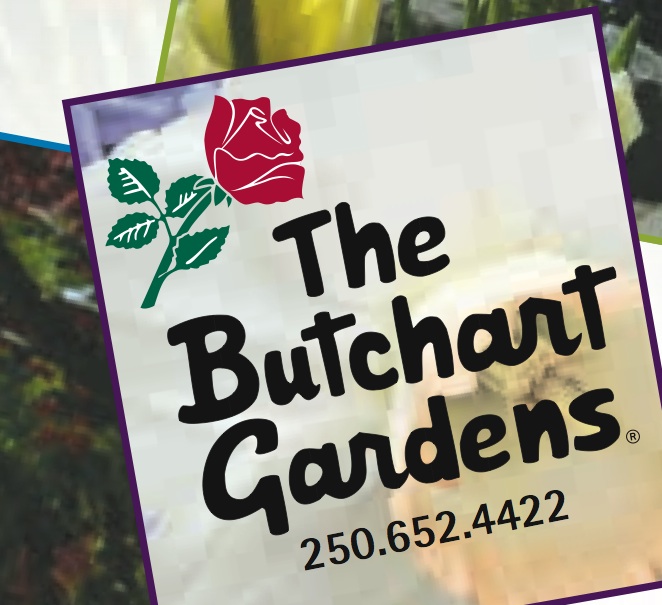 The magic of Christmas returns to the Butchart Gardens - Greater