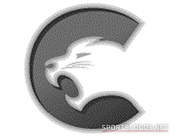 Vancouver Canucks Throwback Logo - National Hockey League (NHL) - Chris  Creamer's Sports Logos Page 