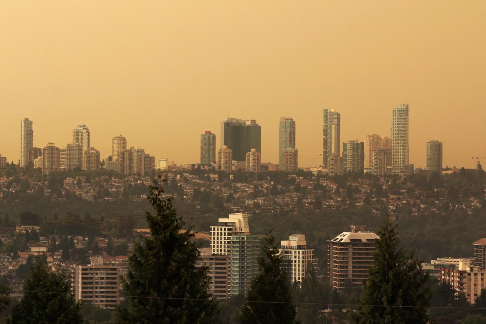 burnaby haze