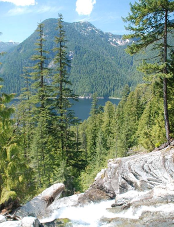 Coquitlam Lake Reservoir