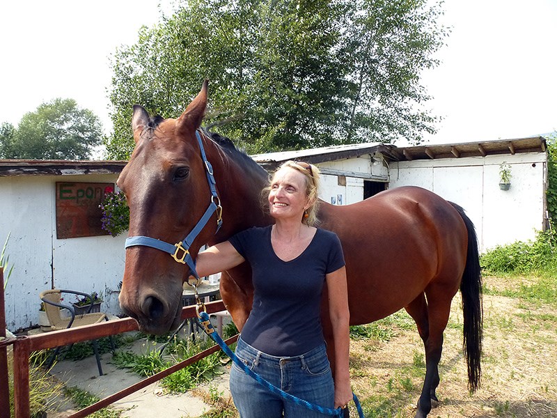 Standardbred Horse Fan Club