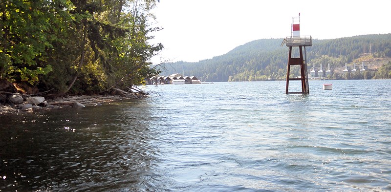 Pacific Coast Terminals is planning on building an island east of the Reed Point Marina that it said will help improve fish habitat in the area. The project is part of the company’s environmental mitigation work, but Mossom Creek Hatchery founder Rod MacVicar believes it may do more harm than good.