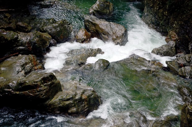 Lynn Canyon