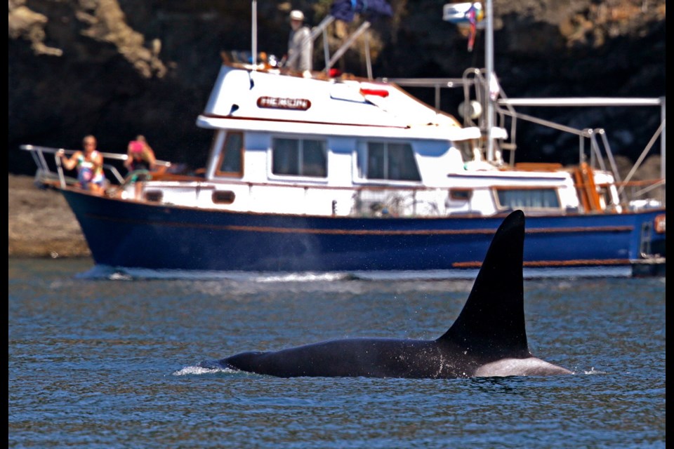 Washington Fish and Wildlife Marine Sgt. Russ Mullins, left, talks with fishermen who inadvertently moved too close to passing orcas in the San Juan Islands.