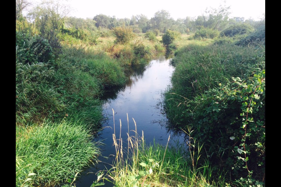 Stoney Creek + Brunette River – Let's Go Biking!