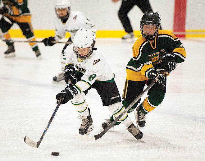 Eagles make championship Squamish Chief