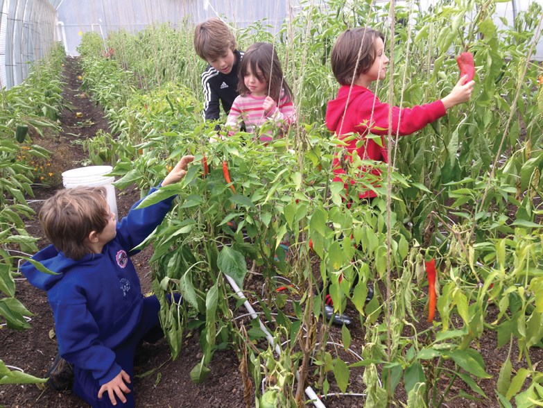 Farm to School