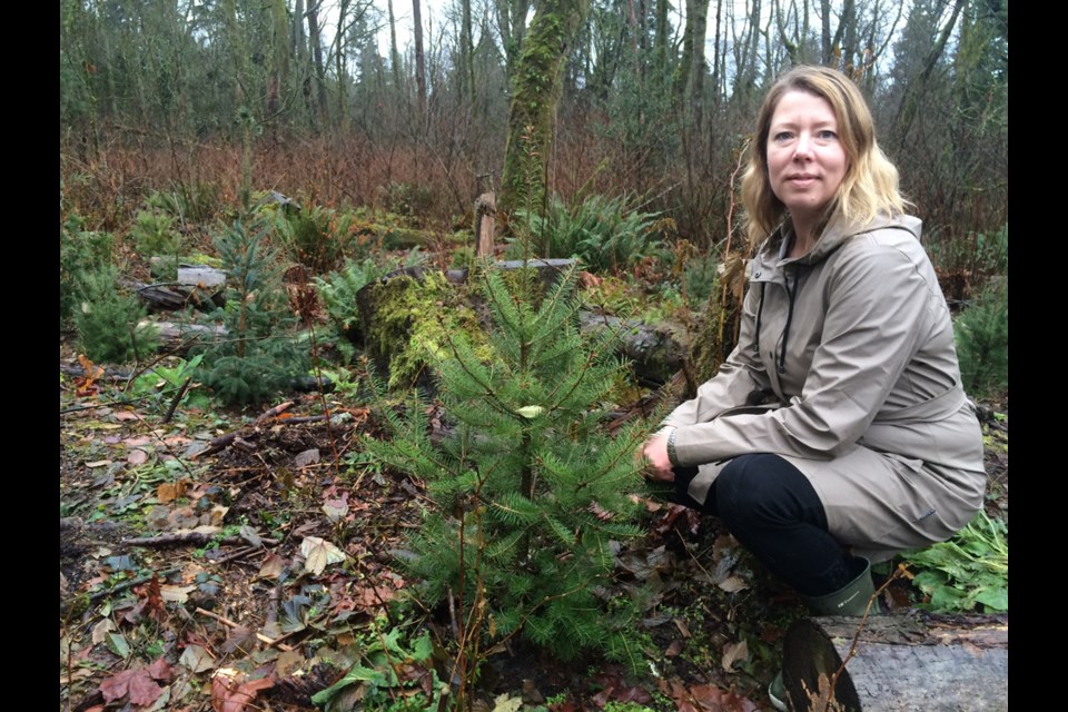 Kinder Morgan spokesperson Ali Hounsell on Burnaby Mountain following the company’s remediation work, which included three stretches of cedar boardwalk and 350 new trees.