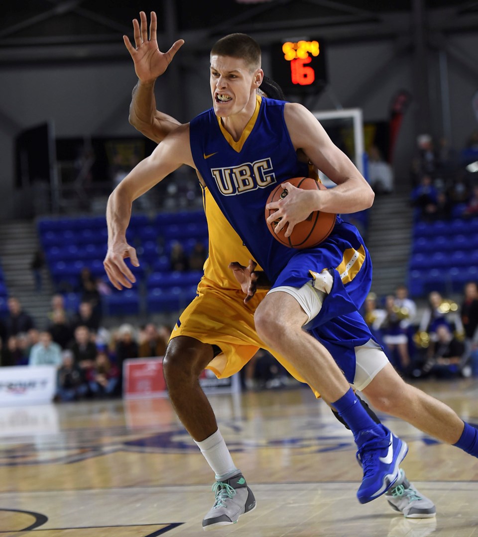 ubc basketball