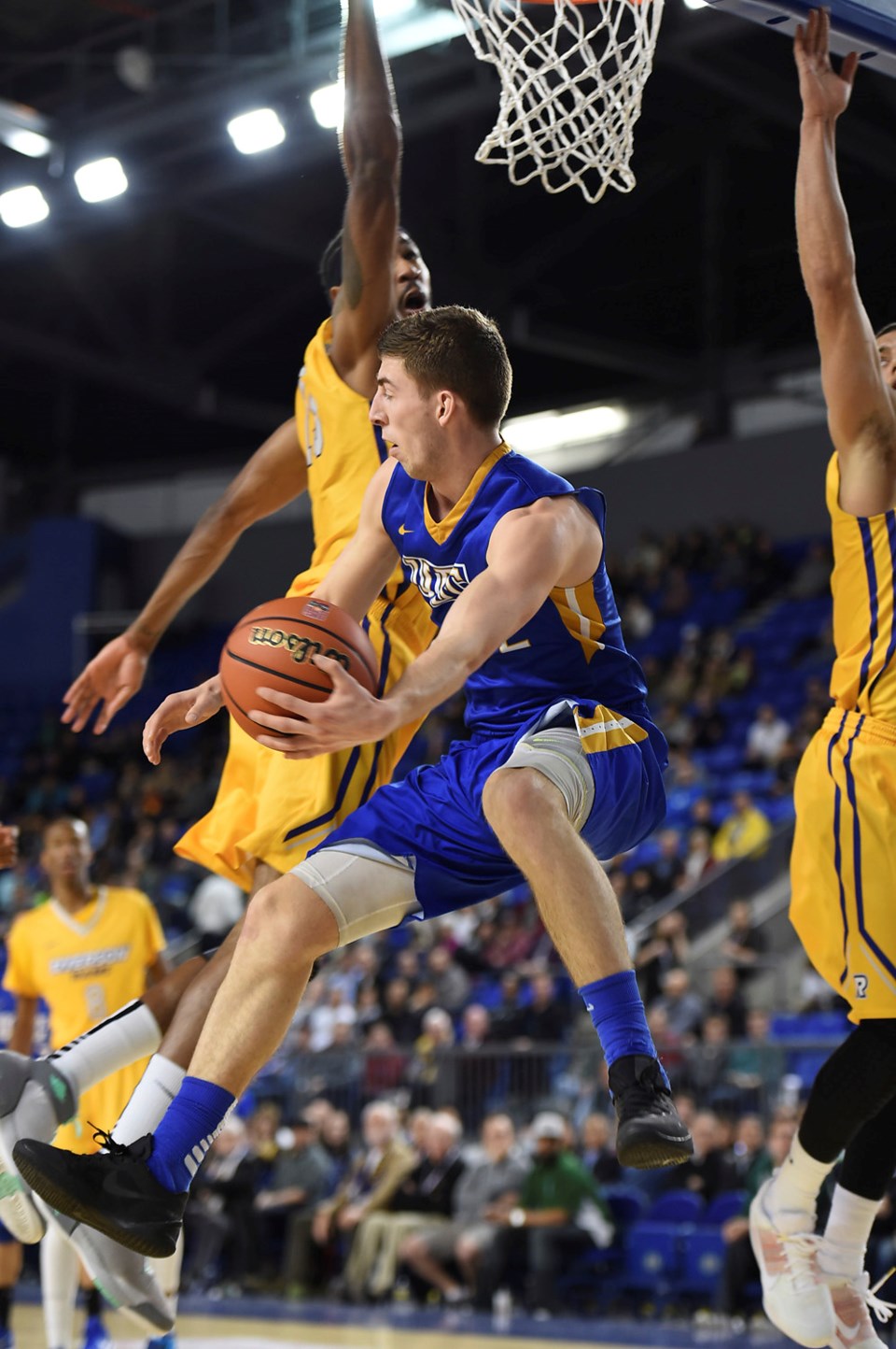 basketball ubc