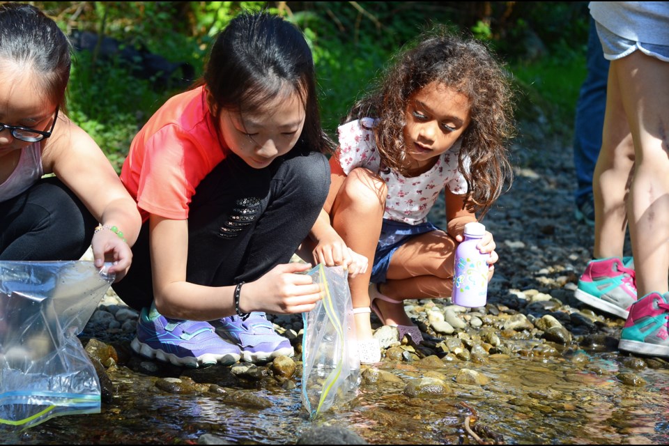 Inman Elementary Grade 5 student Luna Huang, left, releases a salmon fry into Stoney Creek with Grade 2 student Yasmeen Kelders.