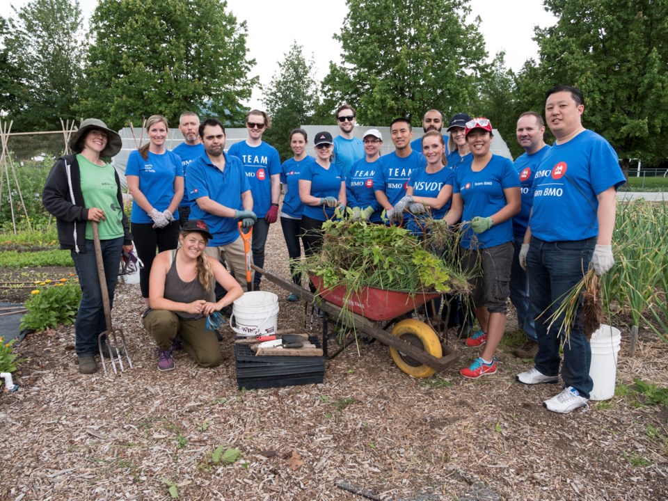 edible garden project