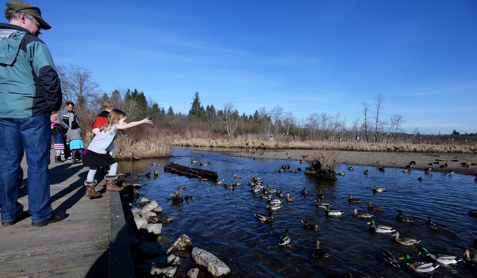 Burnaby Lake