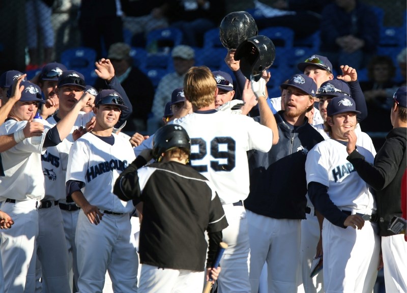 HarbourCats baseball players celebrate - photo