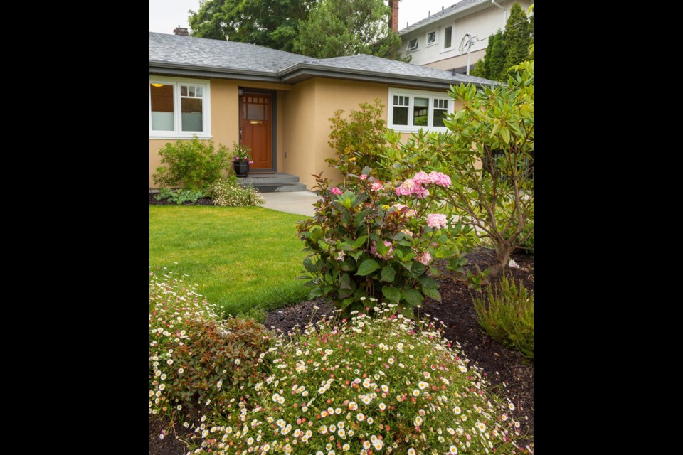 This single-level Oak Bay home has gone from being a rundown house some thought would be demolished to one of the prettiest homes in the neighbourhood. Neighbours loved walking by and watching as the house came to life.