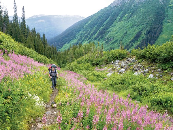 hiking