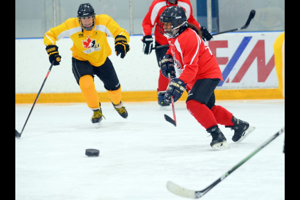 Canadian Blind Hockey held its third annual Summer Development camp Monday at Burnaby 8 Rinks, with players coming from across the country. Presented by Accessible Media Inc. and the Canadian National Institute for the Blind, the camp included male and females ages 15 and up from teams based in Montreal, Toronto, Calgary, Edmonton and Vancouver.