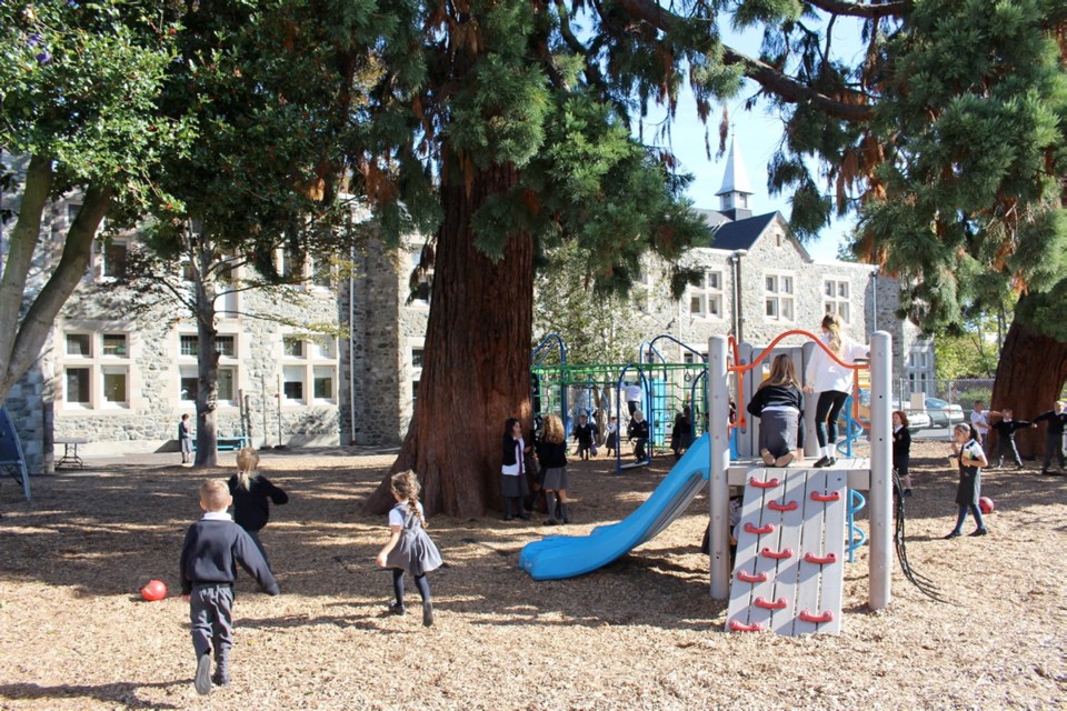 Christ Church Cathedral School makes its home in a Gothic Revival heritage building complemented by giant sequoias in the fenced-in play area.