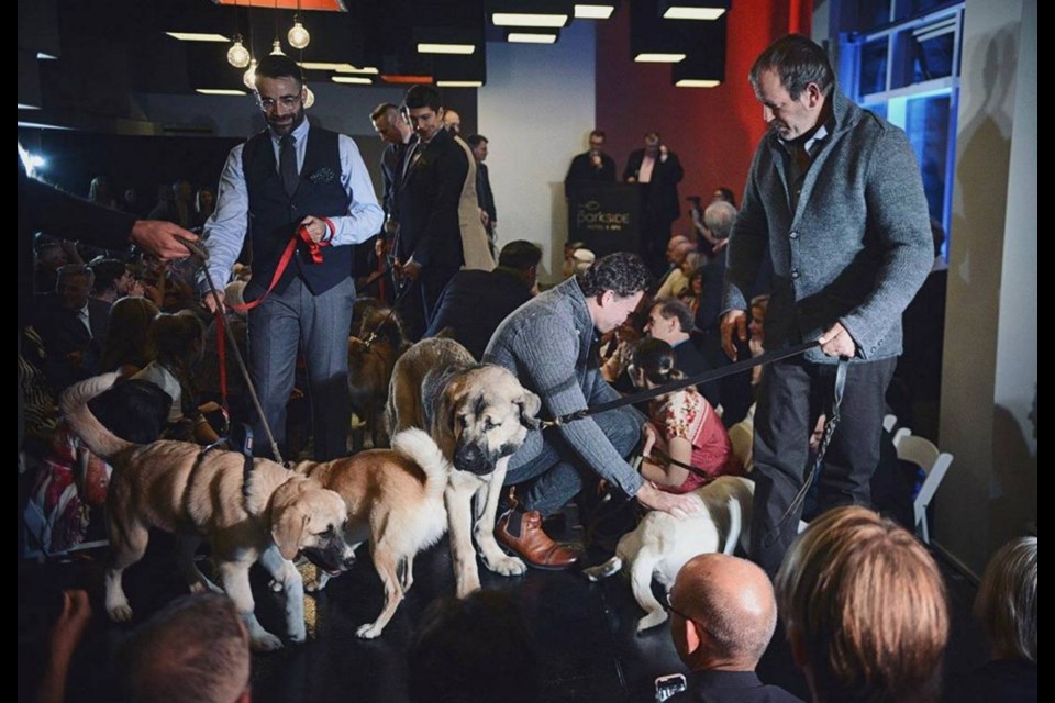 Last year's Outlooks Menswear Man and His Dog fashion show raised more than $12,000 for the Victoria Humane Society. This year's event takes place Thursday.