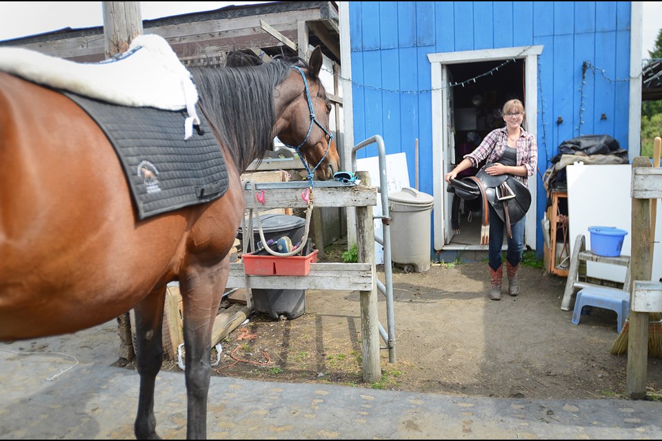 Aidan Ford tacks up her horse Mia before taking her for a ride in the arena. Mia is one of five horses living on a small farm in Queensborough. Ford, who owns the horses, rents the space and uses it to train her horses and teach lessons. The 22-year-old, who hails from East Vancouver, stumbled onto the property several years back when she was looking for a horse to lease.