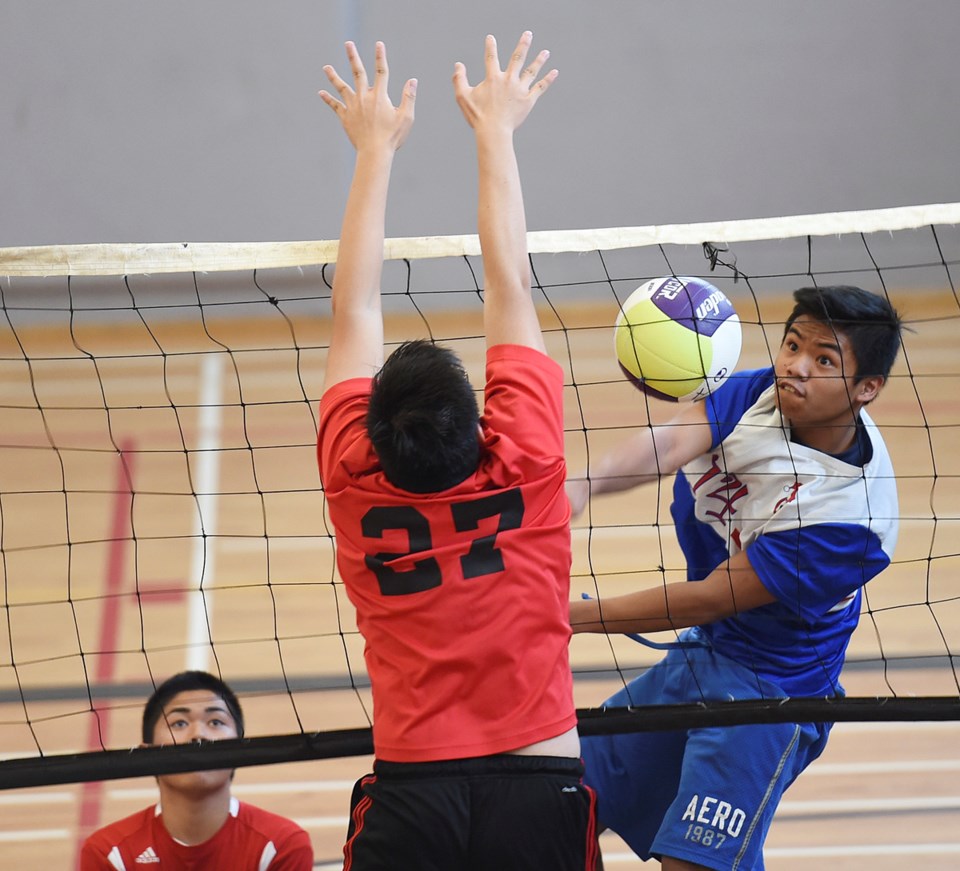 volleyball britannia john oliver