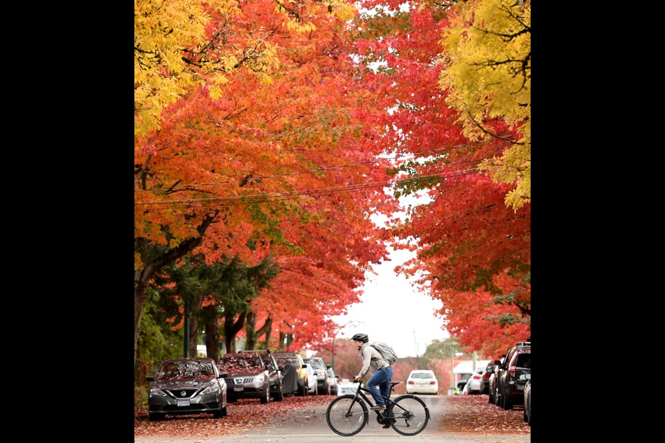 A cyclist pedals through the intersection of East 19th and Prince Albert on a crisp October day. Photo Dan Toulgoet